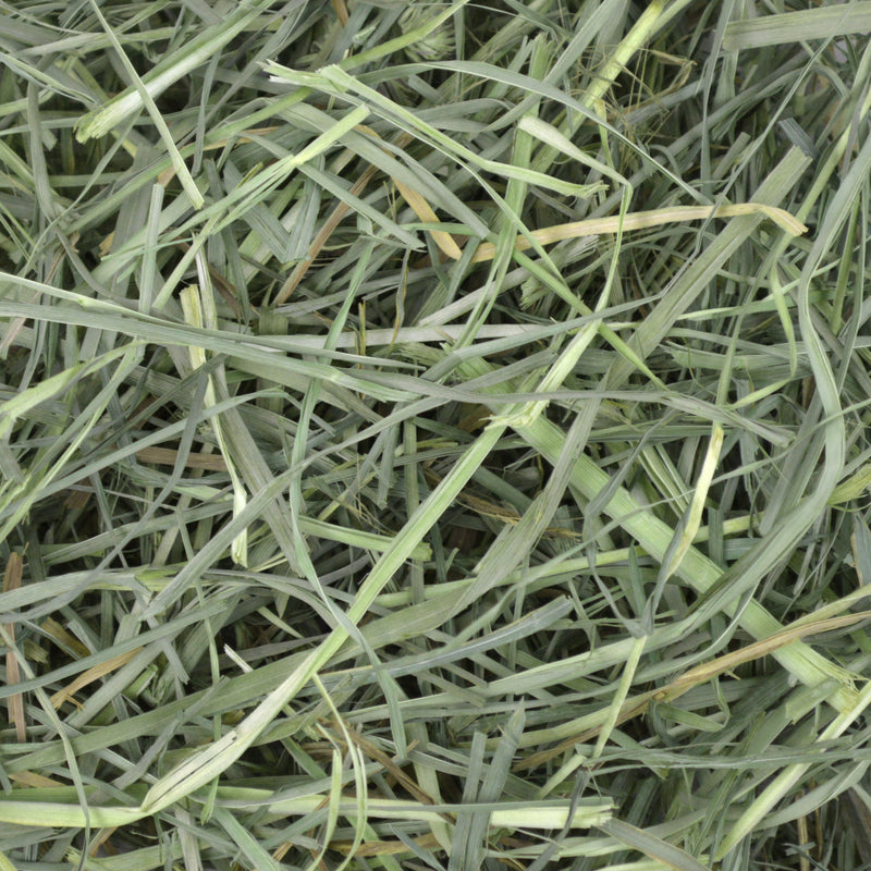 Oxbow Orchard Grass Hay
