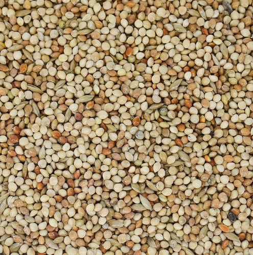 Cage Bird Finch Seed by Conestogo Bird Seed Company - Exotic Wings and Pet Things