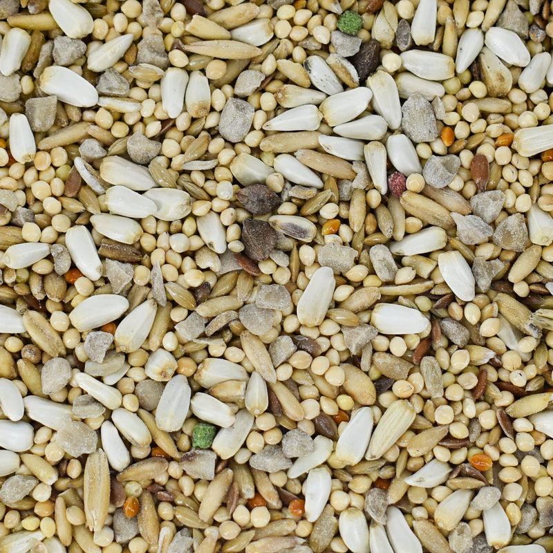 Hulled Sunflower Cockatiel Seed Mix by Conestogo Bird Seed Company - Exotic Wings and Pet Things
