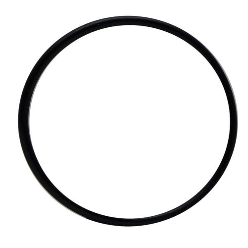 PressureFlo Pressurized Filter UVC Head O-Ring