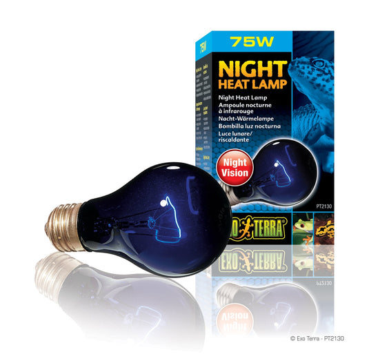 Exo Terra Reptile Night Heat Lamp