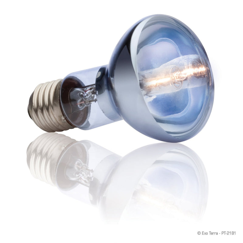 Halogen Basking Spot Reptile Bulb
