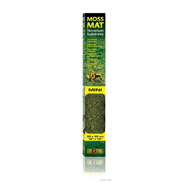 Moss Terrarium Substrate Mat