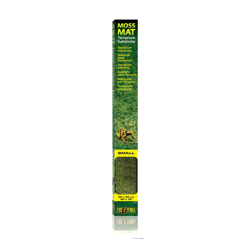 Moss Terrarium Substrate Mat
