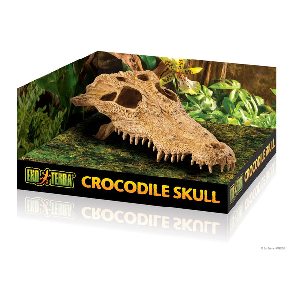Exo Terra Reptile Crocodile Skull Accessory