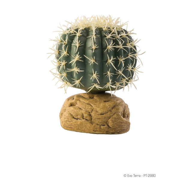 Exo Terra Reptile Desert Plants - Cactus