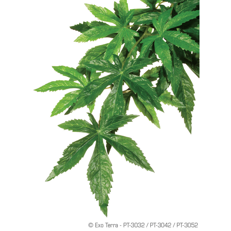 Reptile Silk Plants - Ficus-Ruscus-Abutilon
