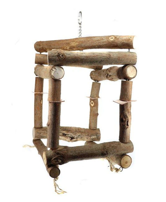 Box Swing Parrot (MED-LG) 🍁