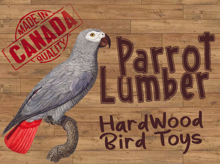 Wood Shelf Parrot Perch (SM-LG)
