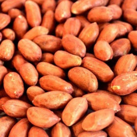 Peanuts No Shell by Conestogo Bird Seed Company - Exotic Wings and Pet Things