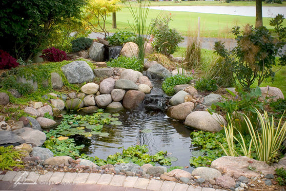 Aquascape Pro Small Pond Kit with Aquasurge 3000
