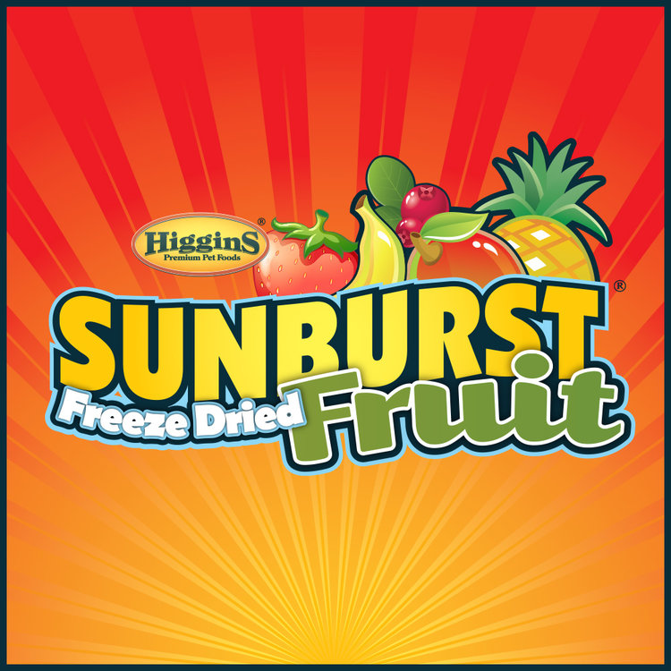 Higgins Sunburst Treats Fruit to Nuts - Exotic Wings and Pet Things