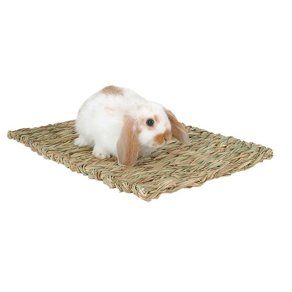 Marshall Woven Grass Mat - Exotic Wings and Pet Things