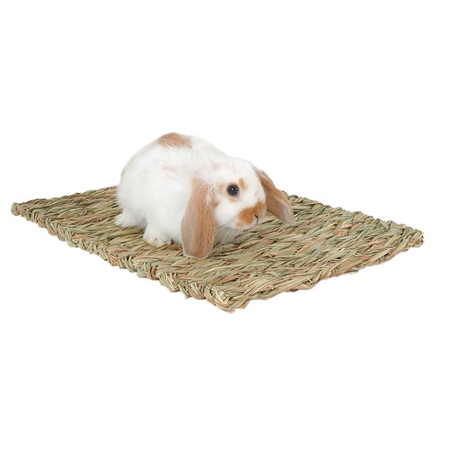 Marshall Woven Grass Mat - Exotic Wings and Pet Things