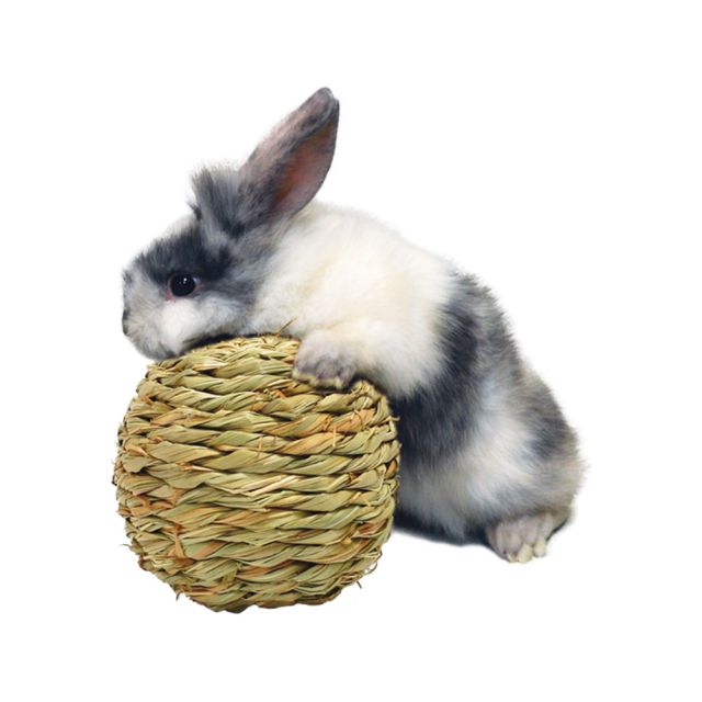 Marshall Woven Grass Play Ball - Exotic Wings and Pet Things