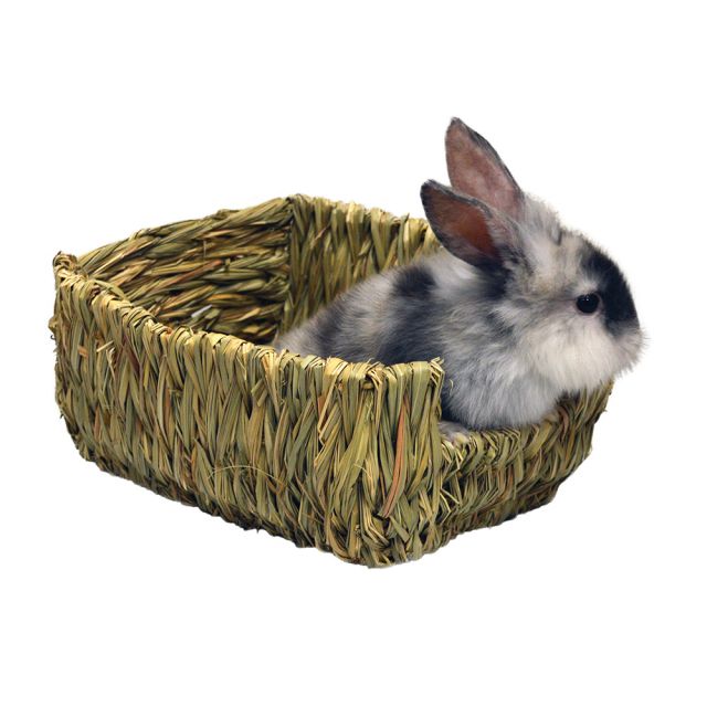 Marshall Woven Grass Pet Bed - Exotic Wings and Pet Things