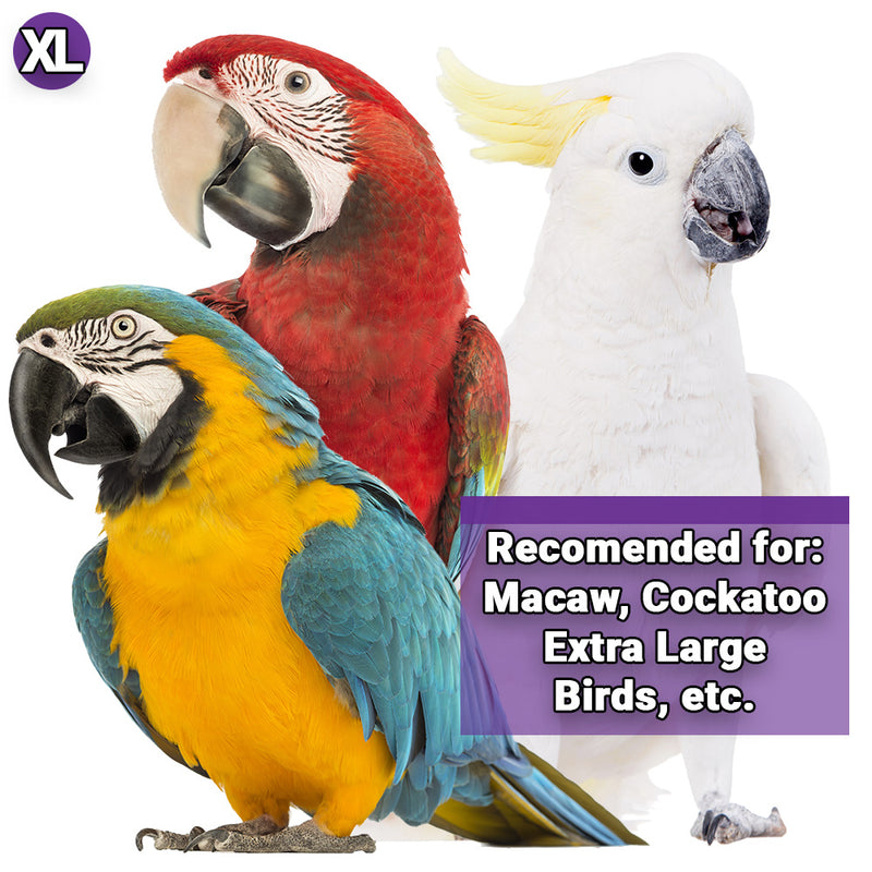 Zoo-Max Groovy Gizmo Large Parrot Shredding Toy - 712 🍁
