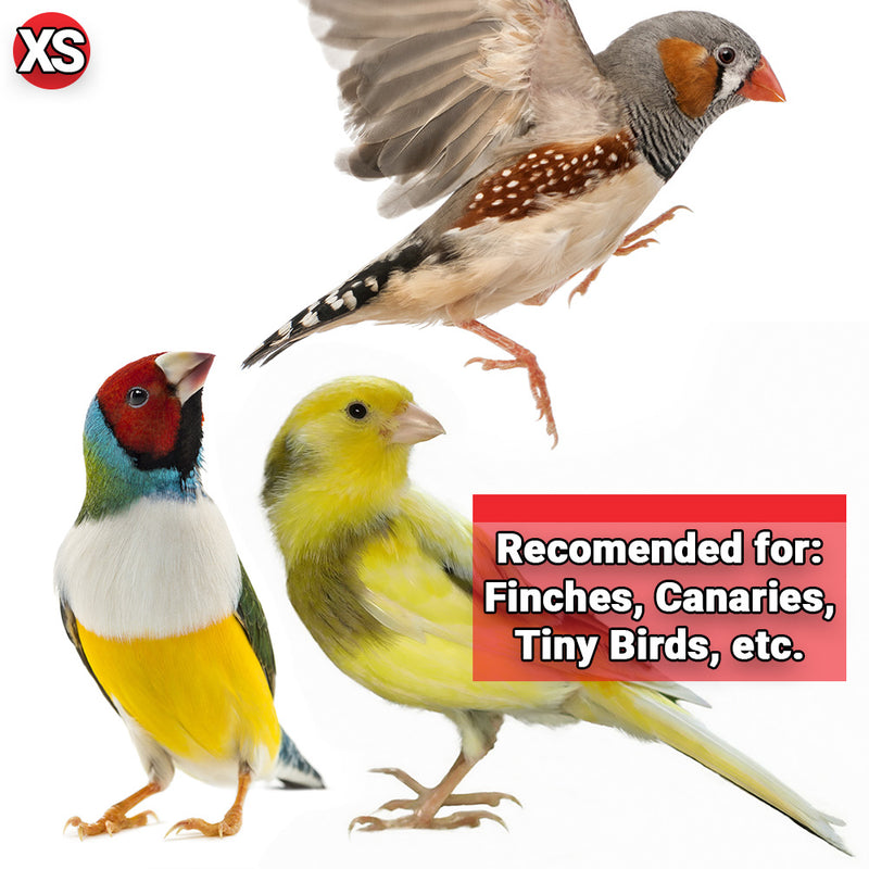 Clean Seed Silo Bird Feeder SM-TALL-LG
