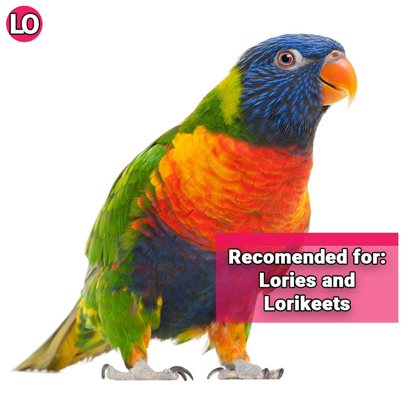 Billy Bird Toys Can-Preen Cozy Medium Parrot - 3005 🍁
