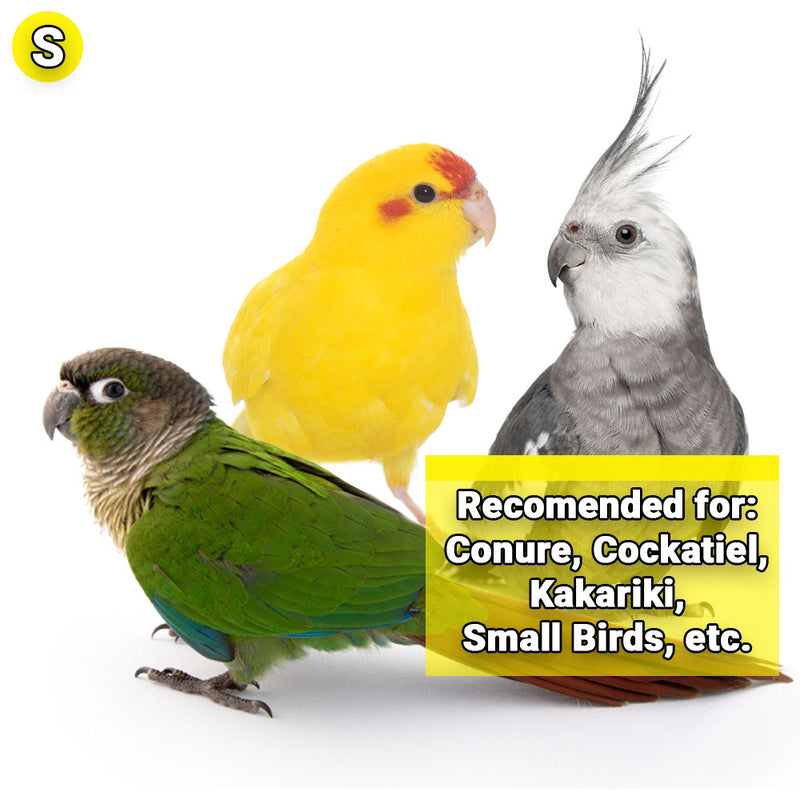 Billy Bird Toys Bangle Small Parrot Enrichment - 422