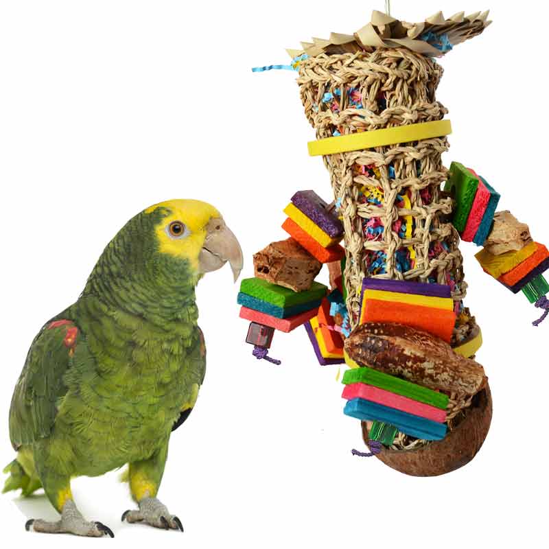 Rolie Polie Large Parrot Foraging Toy - SB887