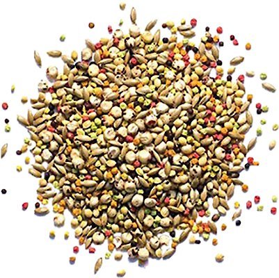 ZuPreem Sensible Seed Enrichment Mix for Small Birds