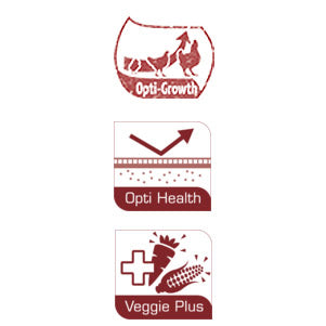Versele-Laga Plus I.C. Start

