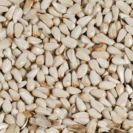 Safflower Seed 🍁
