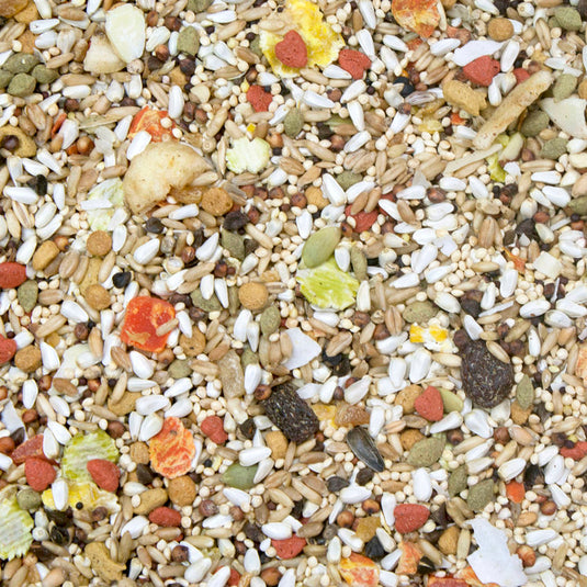 Higgins Safflower Gold Conure / Cockatiel Seed Mix - Exotic Wings and Pet Things