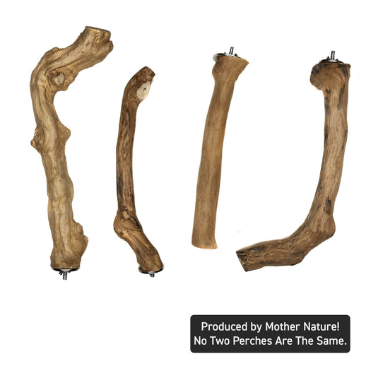 Java Single Branch Coffee Wood Parrot Perch