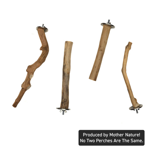 Java Single Branch Coffee Wood Parrot Perch