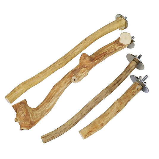 Java Single Branch Coffee Wood Parrot Perch