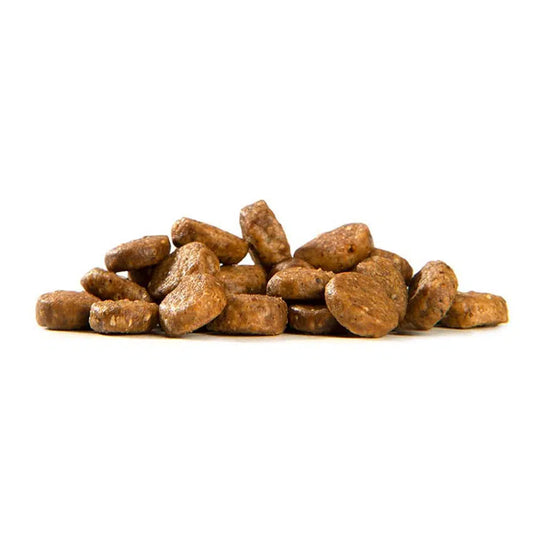 Nuna Insect Protein & Herring Cat Food
