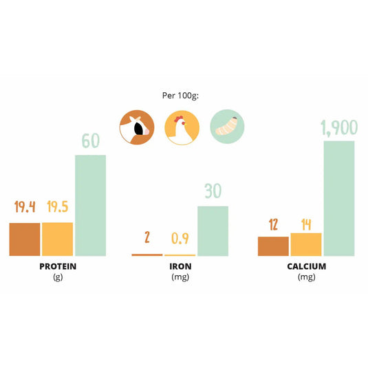 Nuna Insect Protein & Herring Cat Food