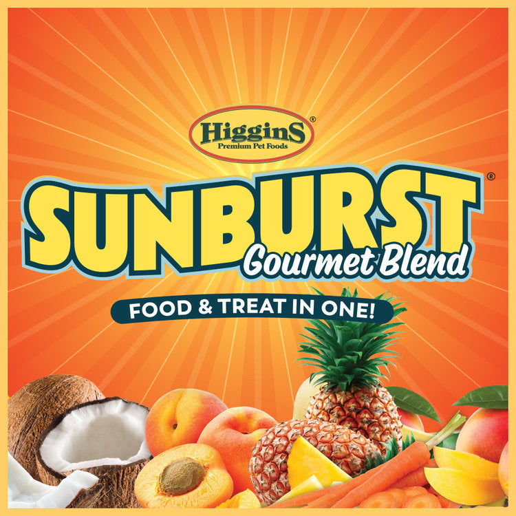 Higgins Sunburst Gourmet Blend Parakeet Seed Mix