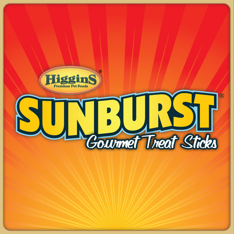 Higgins Sunburst Gourmet Conure & Parrot Ragin' Cajun Treat Stick