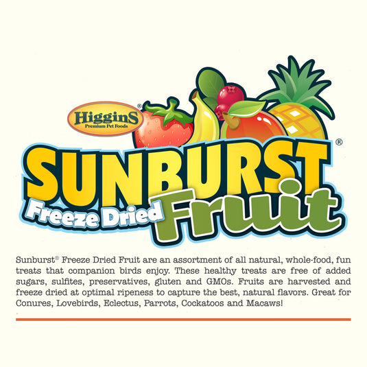 Higgins Sunburst Freeze Dried Fruit Strawberry Banana Treat