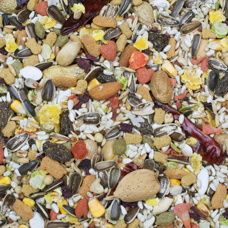 Higgins Sunburst Gourmet Blend Parrot/African Grey/Amazon Seed Mix - Exotic Wings and Pet Things