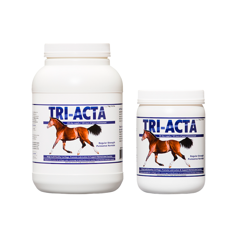 Tri-Acta Regular Strength Equine Mobility Support for Sport/Working & Retired Horses