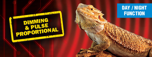 Exo Terra Reptile Dimming & Pulse Proportional Thermostat with Day/Night Function
