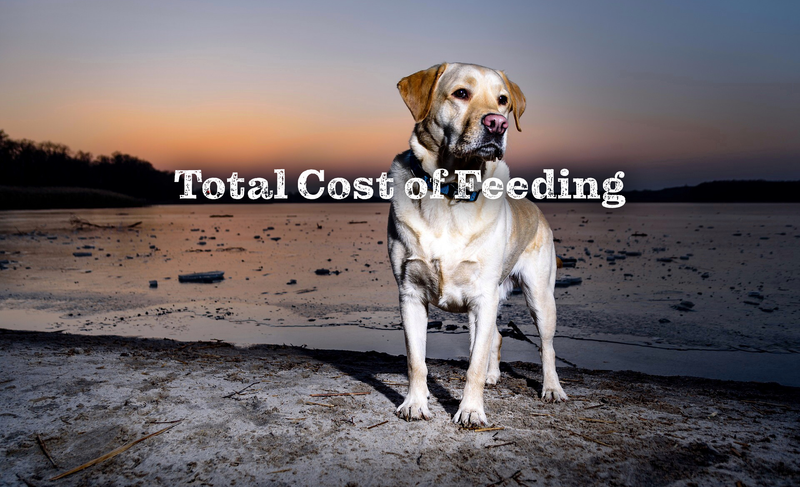 Taiga Whole Grain Dog Food - Chicken
