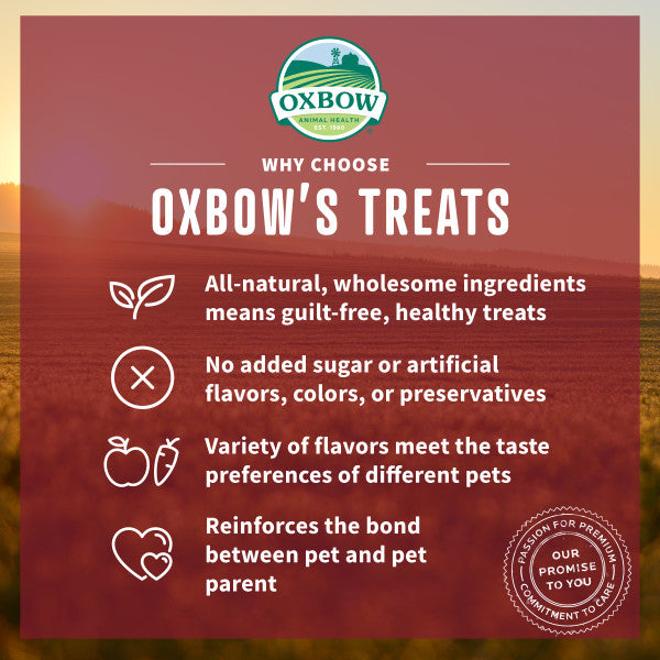 Oxbow Simple Rewards Baked Treat Carrot & Dill 2 oz