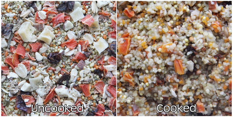 Higgins Worldly Cuisines Tuscan Dream Gourmet Cockable Bird Food 2.5lbs - Exotic Wings and Pet Things
