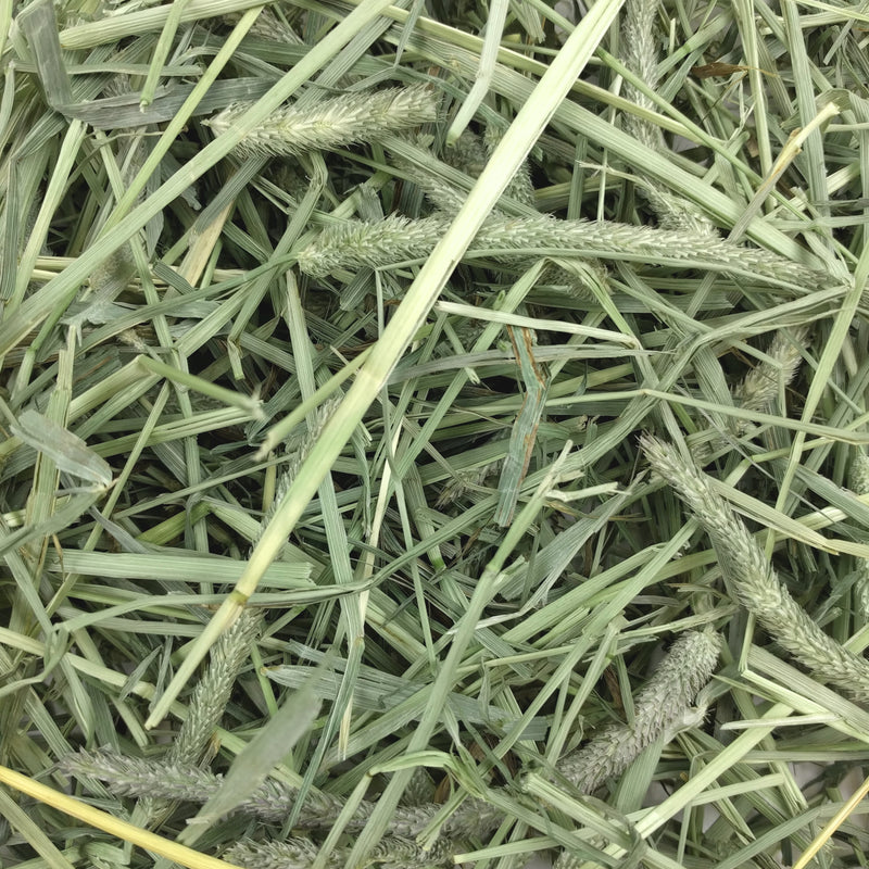 Oxbow Western Timothy Hay
