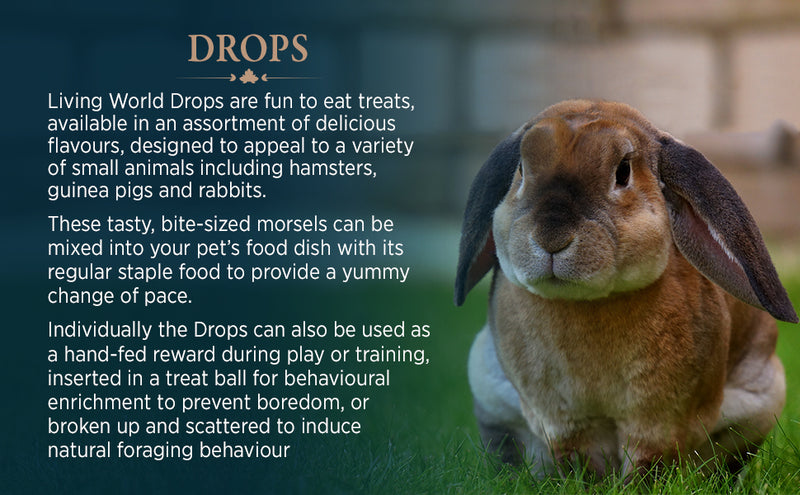 Living World Guinea Pig Fieldberry Falvour Treat Drops - 60406
