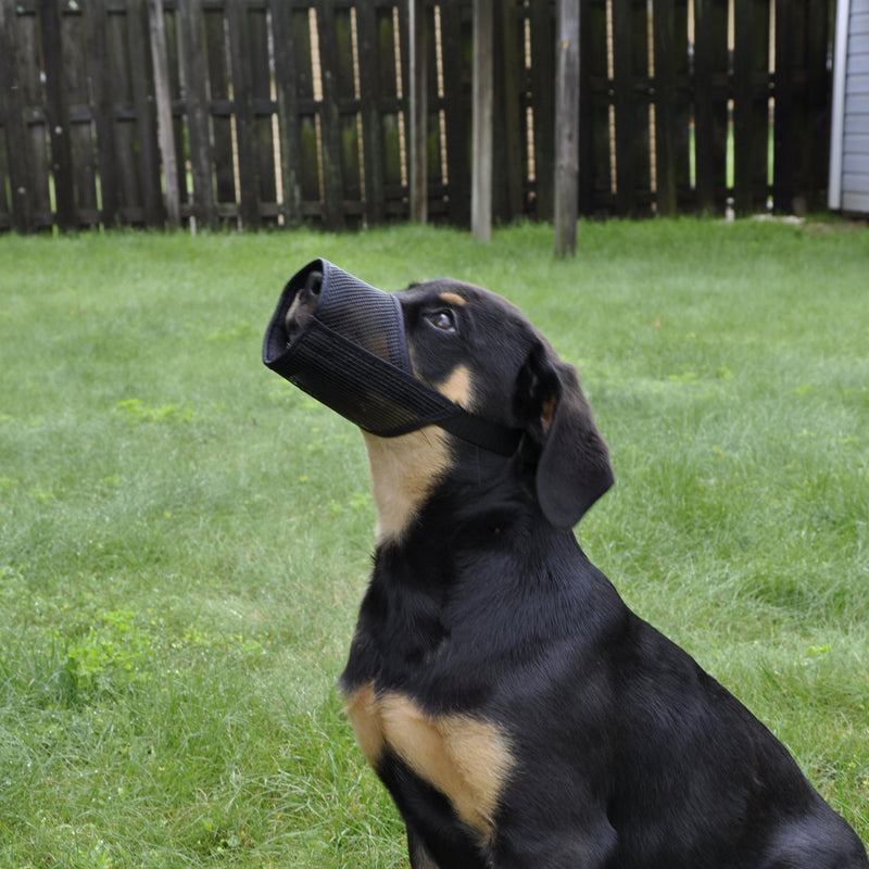 Best Fit Adjustable Mesh Dog Muzzle - Black
