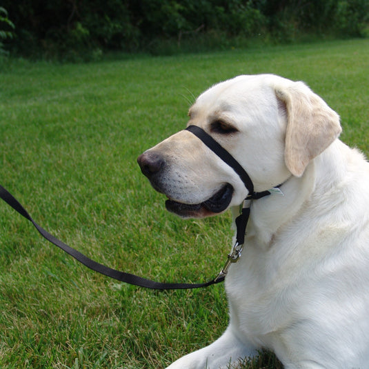 Gentle Leader Ultimate Head Collar Black