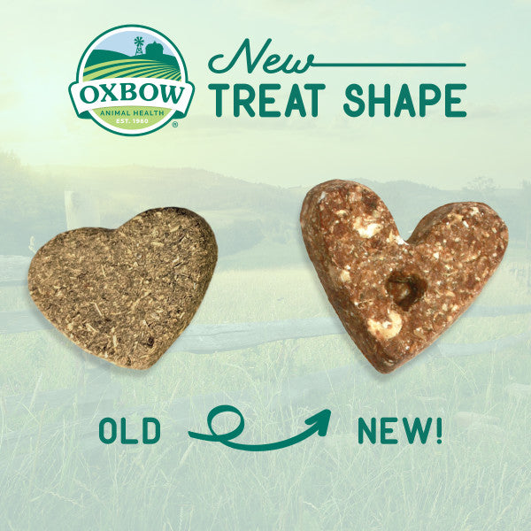 Oxbow Organic Barley Biscuit 75 g