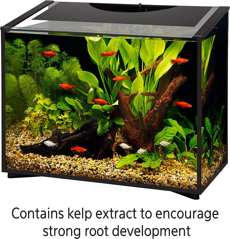 Aqueon Aquarium Plant Food
