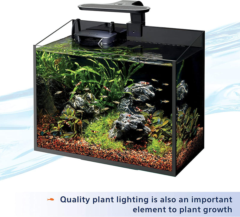 Aqueon Aquarium Plant Food
